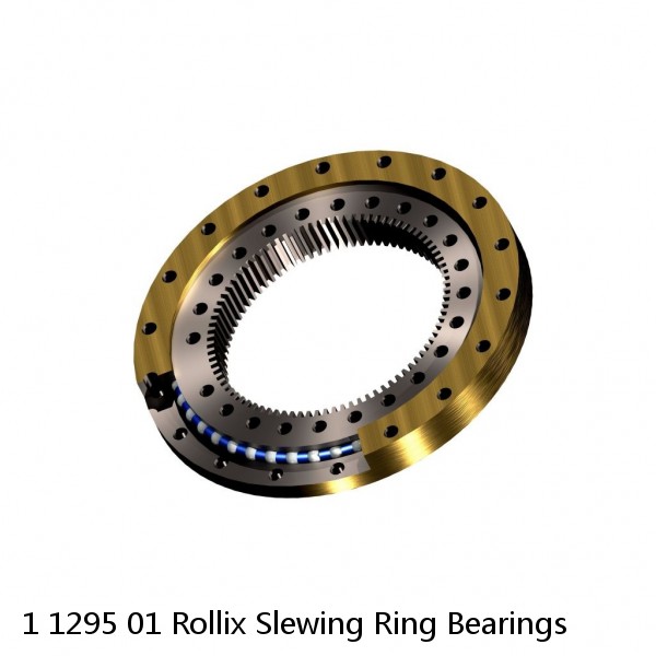 1 1295 01 Rollix Slewing Ring Bearings