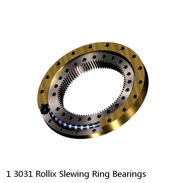 1 3031 Rollix Slewing Ring Bearings