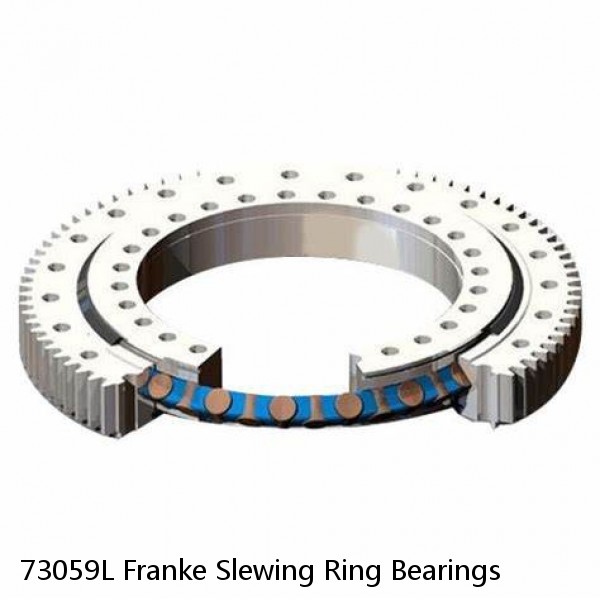 73059L Franke Slewing Ring Bearings