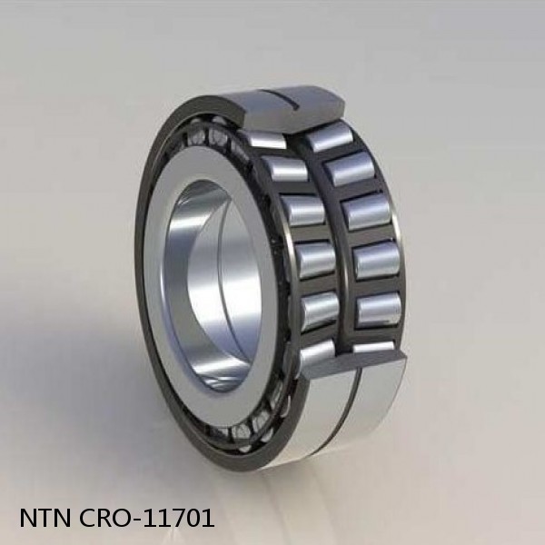 CRO-11701 NTN Cylindrical Roller Bearing