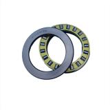 340RV4801 Cylindrical Roller Bearing