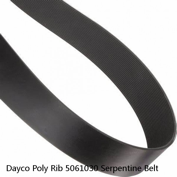 Dayco Poly Rib 5061030 Serpentine Belt